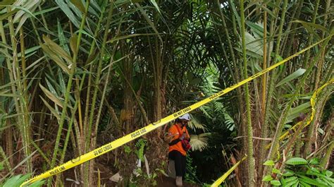 5 Fakta Mengerikan Kasus Mutilasi Di Sleman Bagian Tubuh Terpencar