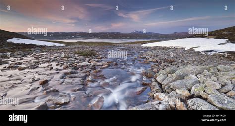 Norway Northern Country Saltfjellet Svartisen National Park