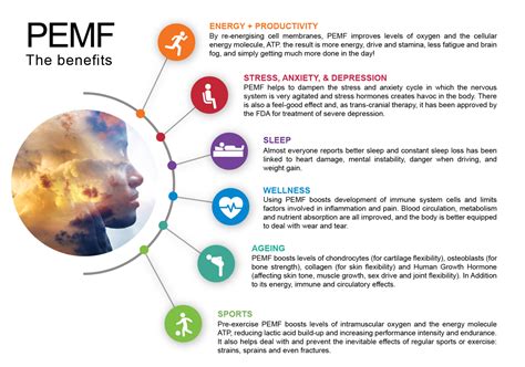 Pulsed Electromagnetic Field Therapy Motus Physical Therapy