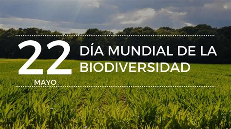 22 De Mayo Día Mundial De La Biodiversidad Youtube