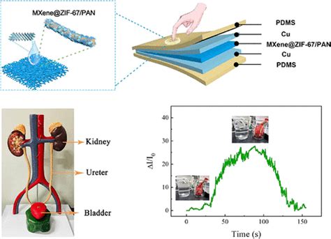 Mxene Zif Pan Acs Applied Materials Interfaces