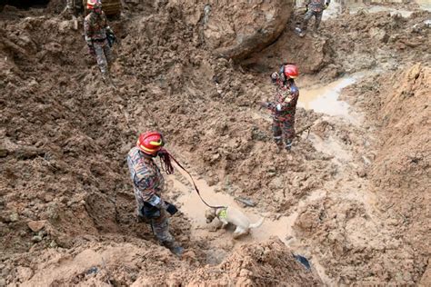 Landslide Tragedy Body Of 26th Victim Was Found Hugging His Dog New