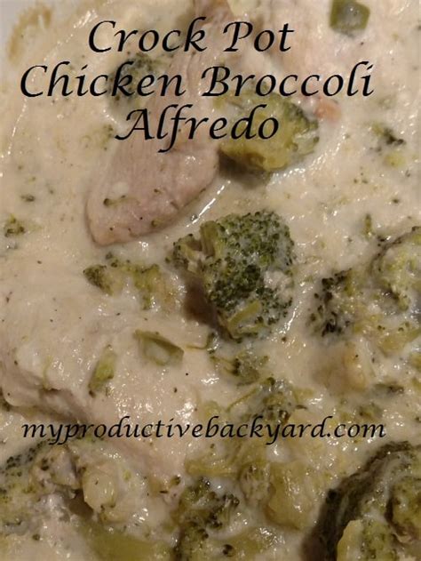 Crock Pot Chicken Broccoli Alfredo