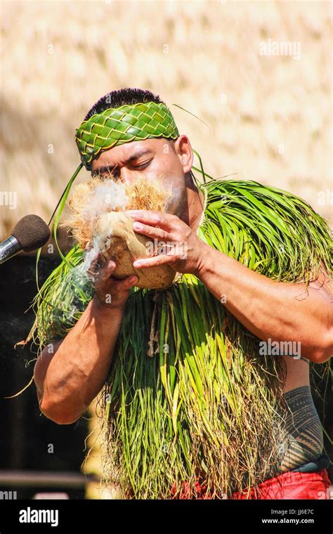 Honolulu Hawaii May 27 2016 A Samoan Man Demonstrating How To Start