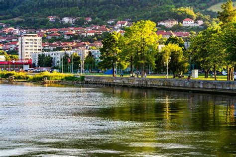 At the edge of the river stock image. Image of leaf - 220705399