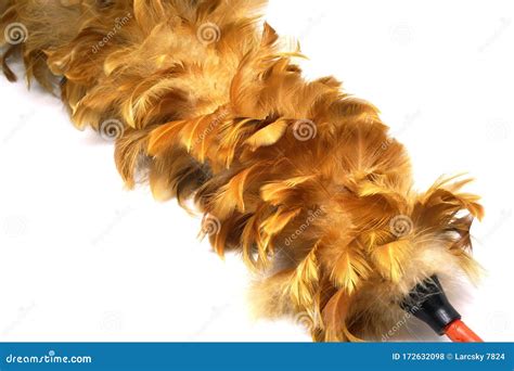 Brown Feather Duster Made From Chicken Feather Isolated White