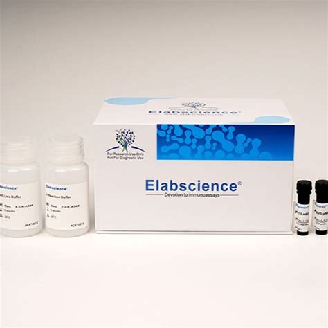 Caspase 1活性检测试剂盒 分光光度法 价格 品牌 Elabscience 丁香通官网