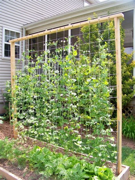 Eye Catching Diy Trellis Ideas For Your Garden The Art In Life