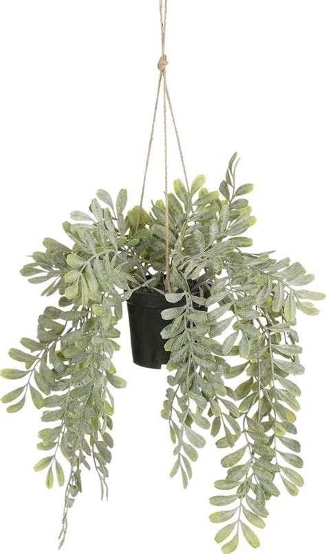 Mica Decorations Valse Christusdoorn Kunst Hangplant In Bloempot H