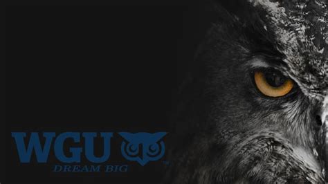 Wgu Desktop Backgroundwallpaper Rwgu