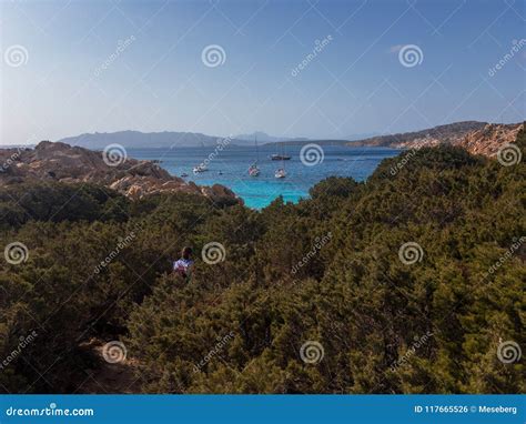 Woman Hiking through Bushes on Caprera Island Editorial Photo - Image of destination, mountain ...