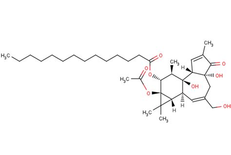 Phorbol Myristate Acetate Nf B Pkc S P Receptor