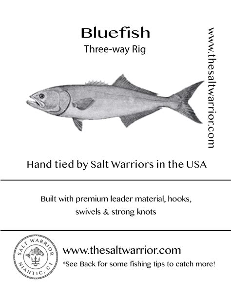 Bluefish 3 Way Rig The Salt Warrior Llc