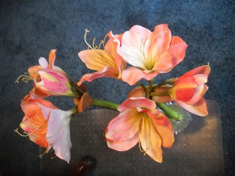 Naked Lady Flowers Photograph By Clifton Keller Fine Art America