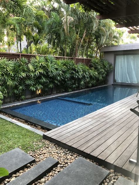 An Outdoor Swimming Pool Surrounded By Greenery