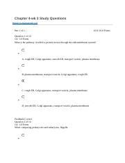 Chapter 4 Docx Chapter 4 Wk 3 Study Questions Return To Assessment