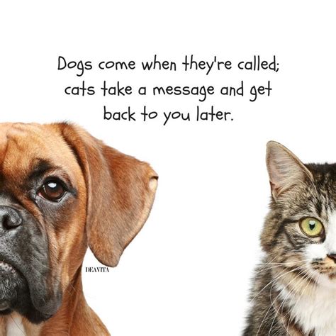 the best funny quotes about pets Dogs and cats #cats #dogs #funny #pets #quotes | Cat quotes ...