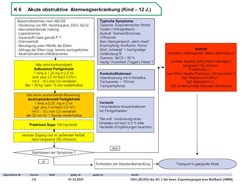 Akute Obstruktive Atemwegserkrankung Kind Algorithmen Sop Easy