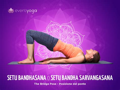 Setu Bandha Sarvangasana La Posizione Yoga Del Ponte Eventi Yoga