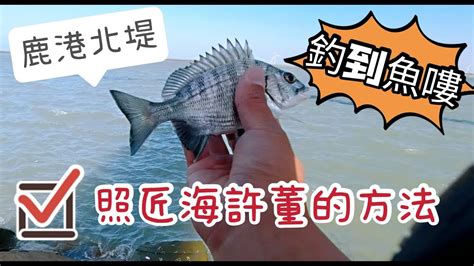 鹿港北堤磯釣 按照匠海許董的方法真的釣到魚了 Youtube