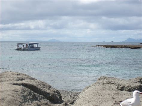 A Beautiful Day Out At Goat Island, New Zealand - Anita Hendrieka