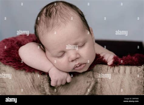 Cheerful Newborn Sleeping Inside A Wicker Basket Stock Photo Alamy