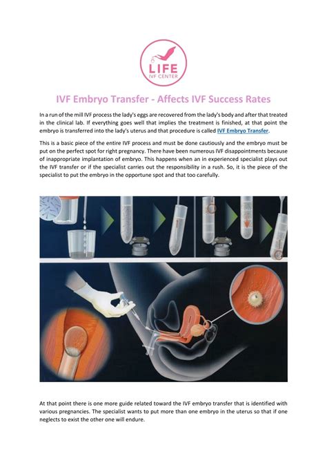 PPT IVF Embryo Transfer Affects IVF Success Rates PowerPoint