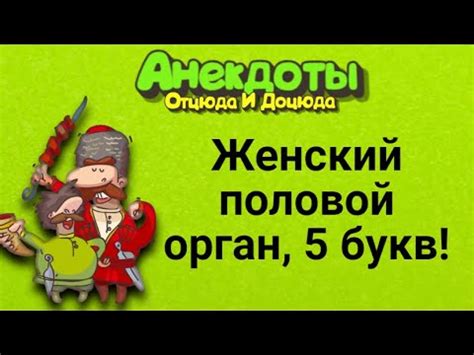Женский Половой Орган, 5 Букв! Анекдоты Смешные до Слёз! - YouTube