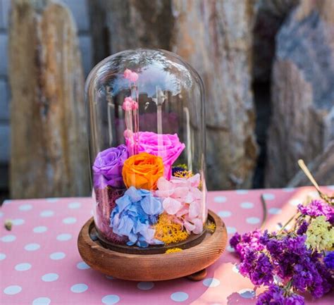 Florero De Cristal De Micropaisaje Para El Hogar Botella De Cristal De