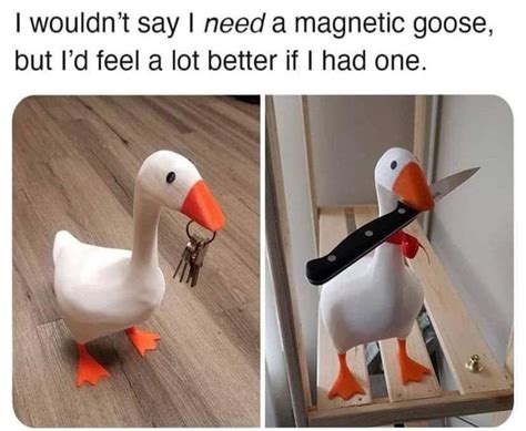 The best Goose memes :) Memedroid