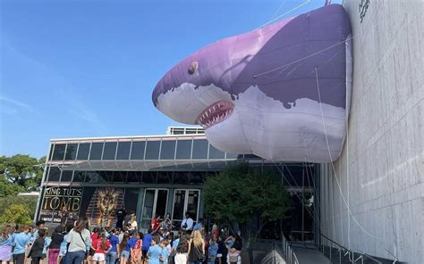 Sharks Opens At Houston Museum Of Natural Science Houston Press