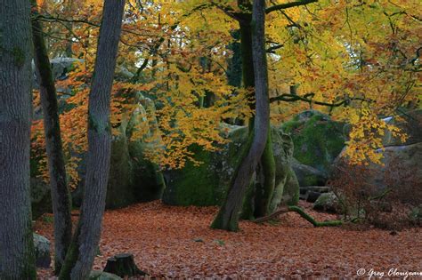 Album J Ai Enfin Pu Profiter Des Paysages En Or De L Autome Sous Le