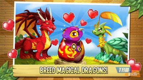 Dragon City Mobile Ndir Iphone Ve Ipad I In Ejderha Oyunu Tamindir