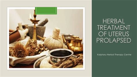 Ppt Herbal Treatment Of Uterus Prolapsed Powerpoint Presentation