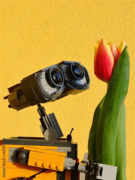 LEGO Wall-E robot from Pixar animated movie adoring real orange tulip ...