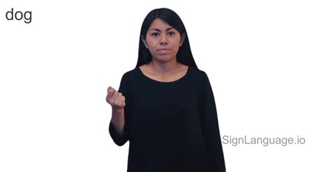 Dog in ASL - American Sign Language - 9 Video Examples