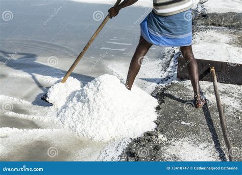 Salt Field Worker India Stock Image Image Of Agriculture 73418747