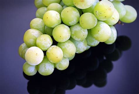 Recipes and Ideas for Using Frozen Grapes - Delishably