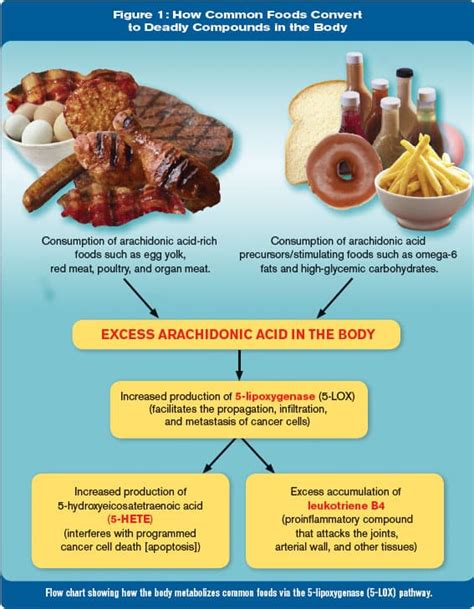 Prostate Cancer Prevention Diet | Life Extension