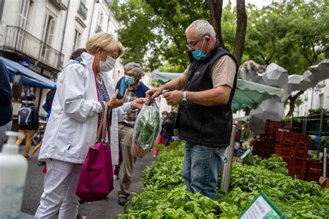 Foire à lail et au basilic de Tours la tradition retrouvée