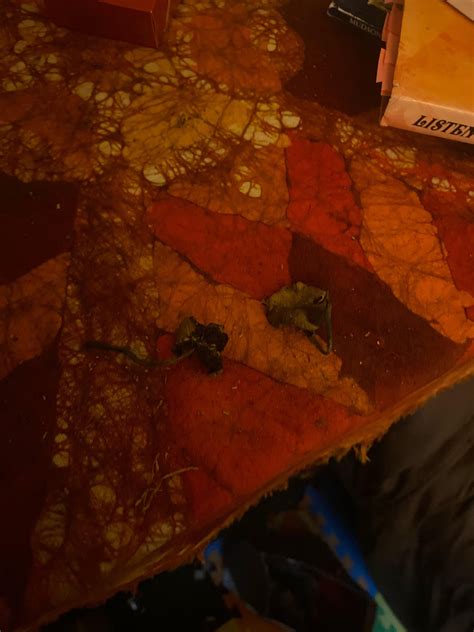 Should I eat one before therapy? : r/shrooms