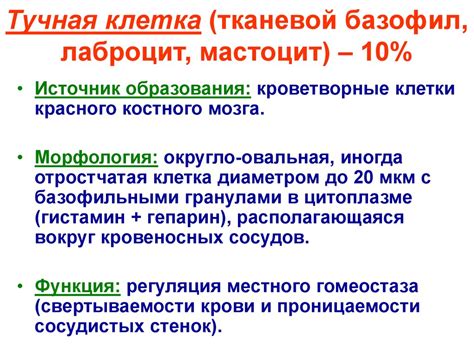 Рыхлая волокнистая ткань. Лекция 3 - презентация онлайн
