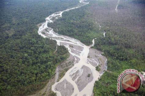 Tokoh Freeport Harus Tanggung Jawab Kerusakan Lingkungan Antara News