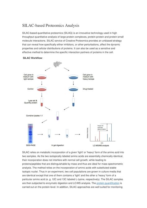 Ppt Silac Based Quantitative Proteomics Silaq Powerpoint