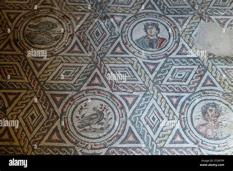 Roman Bikini Girls Hi Res Stock Photography And Images Alamy