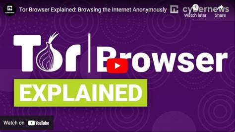 What Is Tor Browser How Does It Work Cybernews