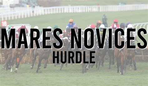 Champion Hurdle Tips Odds Stats News And Trends