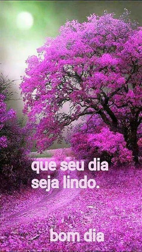 Frases De Bom Dia Para Inspirar E Agradecer Artofit