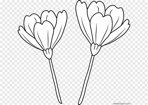 Desenho Flor Linha Art Stica Flor Amor Branco Folha Png Pngwing