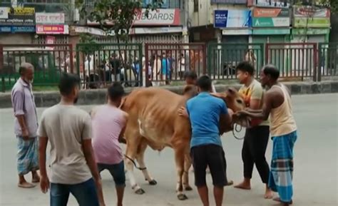 ঈদের দ্বিতীয় দিনেও চলছে পশু কোরবানি